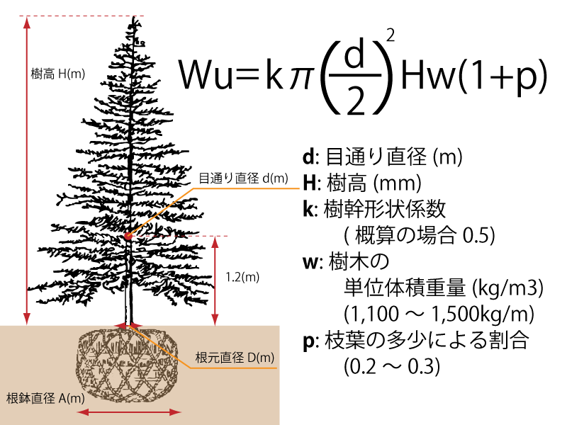 樹木の重量計算（地上部）