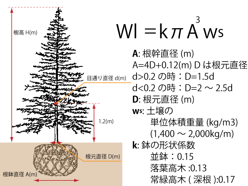 樹木の重量計算（地下部）